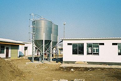 不再是回合制? 《宝可梦传说Z-A》公布即时战斗演示